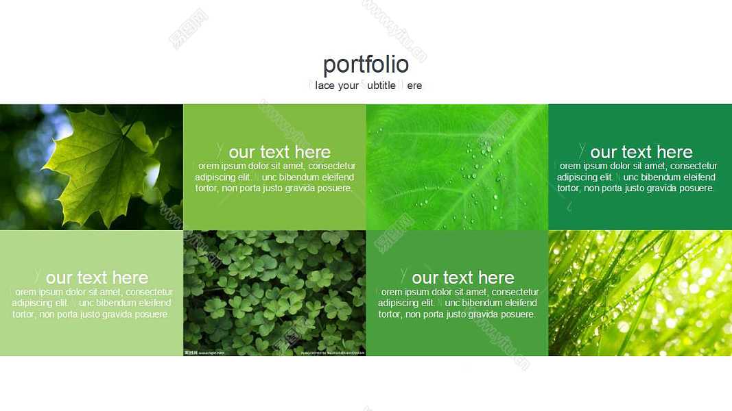 清新绿色植物PPT模板免费下载 