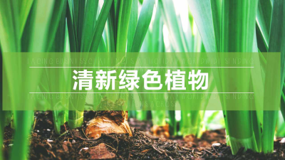 清新绿色植物PPT模板免费下载