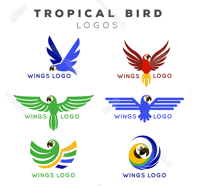 六款鸟鹦鹉logo设计装饰图案