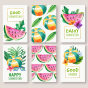 六款热带夏季风格植物西瓜装饰图案