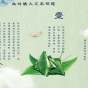 传统中国风端午节节日活动策划免费ppt模板