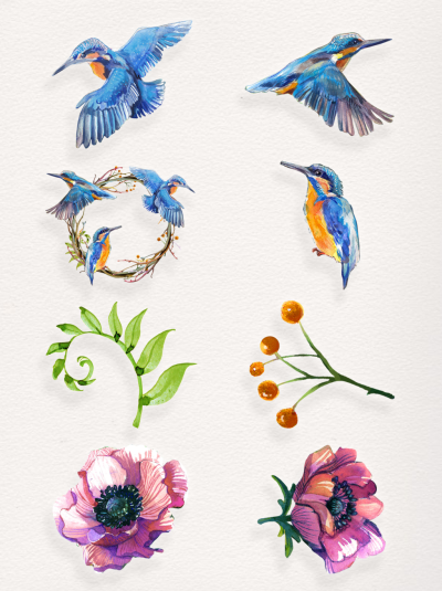 手绘植物鸟类素材装饰图案