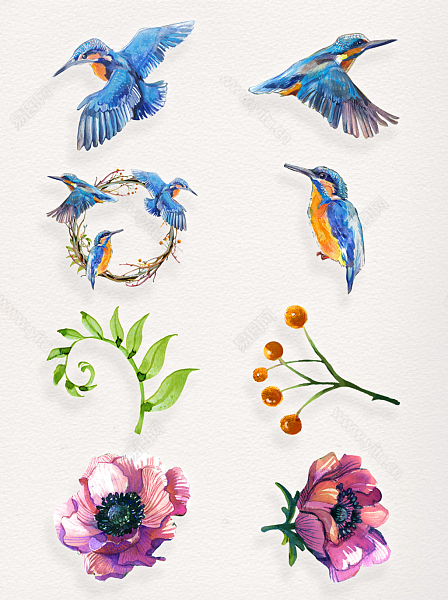 手绘植物鸟类素材装饰图案.jpg