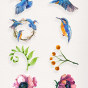 手绘植物鸟类素材装饰图案.jpg