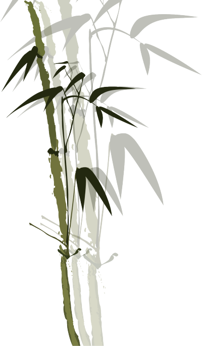 竹子 墨迹 绿色 中国风 装饰图案
