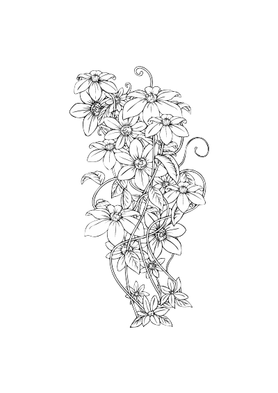 线描花卉装饰图案