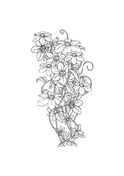 线描花卉装饰图案