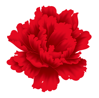 红色牡丹花朵图案素材