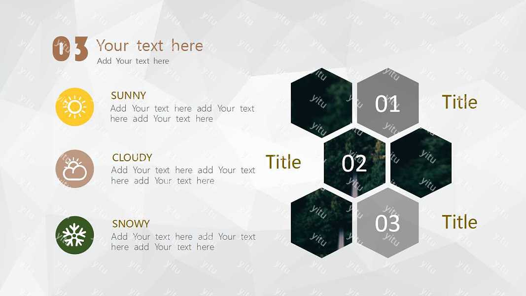 2019墨色森林商业计划总结免费ppt模板 (19).jpg