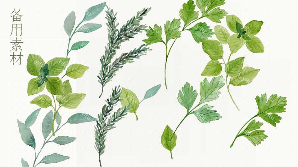 创意绿叶计划总结免费ppt模板 (30).jpg