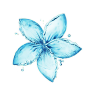 蓝色水形花朵图片.png