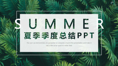 夏季季度计划总结免费ppt模板