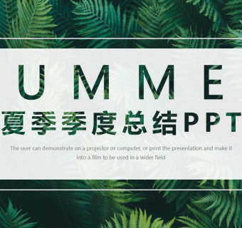 夏季季度计划总结免费ppt模板