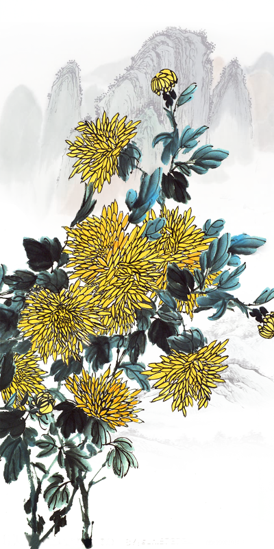 梅兰竹菊的菊的无框画