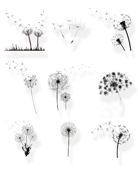 黑色手绘卡通简介蒲公英装饰图案.png