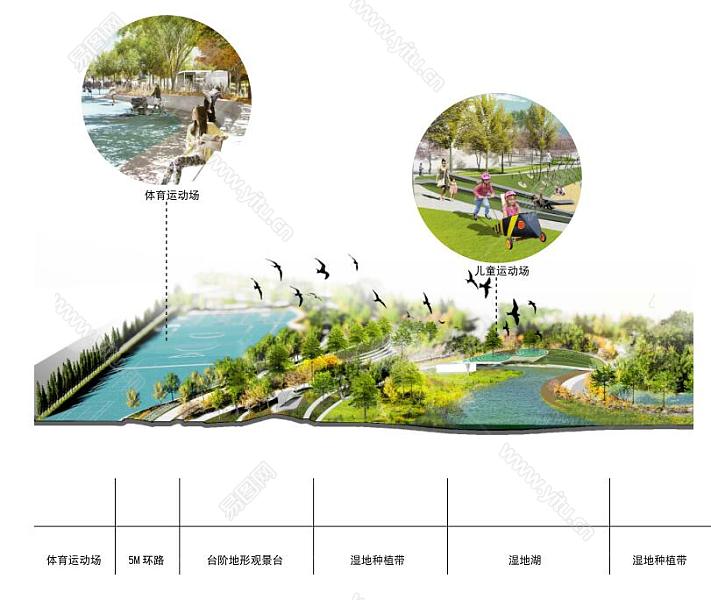 人文生态景观设计平面图文案 湿地种植图