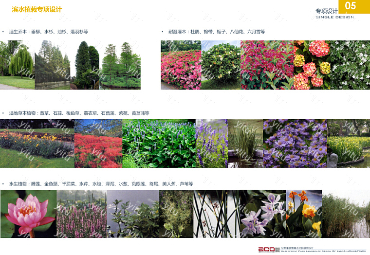 现代滨水公园景观设计文本 植物配图