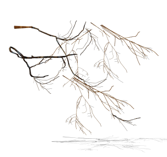 干枯树枝摆件草图大师模型,现代装饰品su模型下载