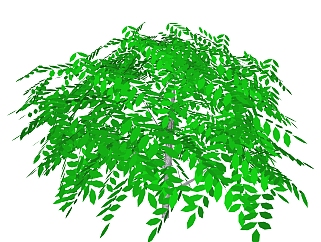 清香木灌木丛sketchup模型，<em>常绿</em>灌木skp文件下载
