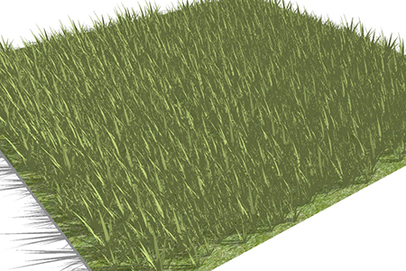 马尼拉草植物su模型，绿植草丛草图大师模型下载