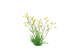 文心兰地<em>被</em>植物sketchup模型下载，植物 skp文件免费...