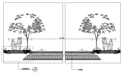 林荫道断面图