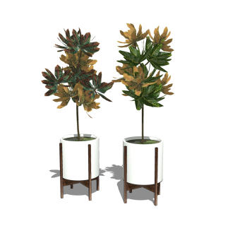 现代风格盆栽sketchup模型下载