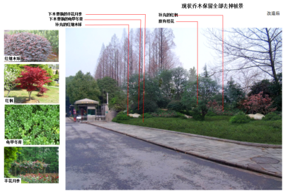 入口迎宾区景观改造效果图