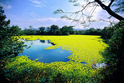 昆明环滇池湖滨生态度假区景观规划设计文本