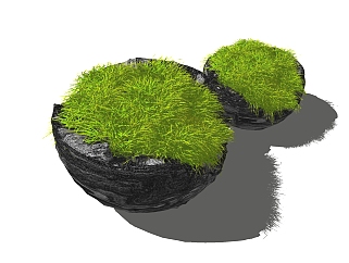地肤植物盆栽sketchup模型下载，地肤植物盆栽草图大师模型