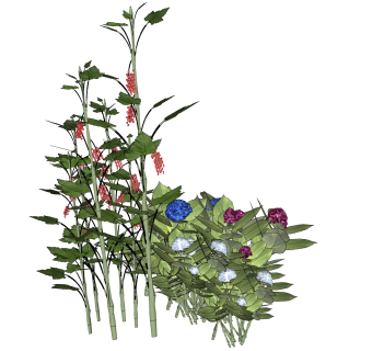 红蓼绿植sketchup模型，现代观花植物skp文件下载