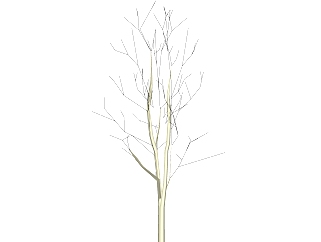 <em>枯树</em>树干盆景sketchup模型下载，树干盆景skb模型分享