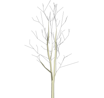 枯树树干盆景sketchup模型下载，树干盆景skb模型分享