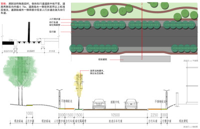 慢行道规划<a href=https://www.yitu.cn/su/7590.html target=_blank class=infotextkey>设计</a>——白<a href=https://www.yitu.cn/su/5628.html target=_blank class=infotextkey>水</a>叠瀑<a href=https://www.yitu.cn/su/7841.html target=_blank class=infotextkey>景区</a>道路剖面图