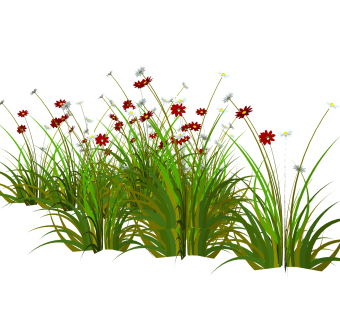 麦兰绿植sketchup模型，现代观花植物skp文件下载