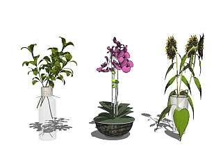 现代花瓶花卉盆栽组合sketchup模型，花瓶花卉盆栽skp...