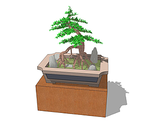 刺柏盆栽su素材，景观绿植草图大师模型下载