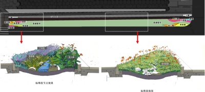 节点效果