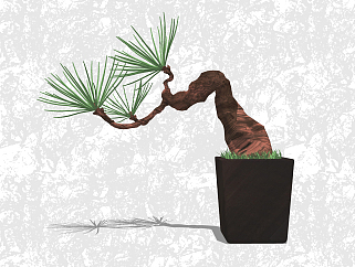 日本五针松盆栽草图大师模型，家居植物sketchup模型下载