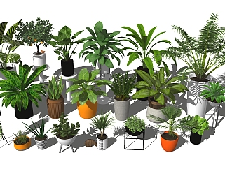 现代<em>植物盆栽</em>组合模型，<em>植物盆栽</em>组合sketchup模型下载