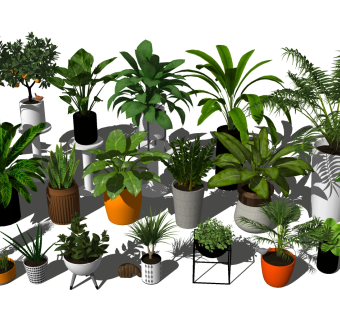 现代植物盆栽组合模型，植物盆栽组合sketchup模型下载