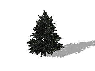 南洋杉景观树sketchup模型下载，植物树草图大师模型