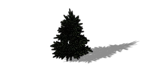 南洋杉景观树sketchup模型下载，植物树草图大师模型