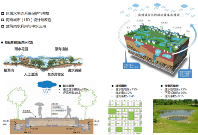 海绵<a href=https://www.yitu.cn/su/7798.html target=_blank class=infotextkey>城市</a><a href=https://www.yitu.cn/su/7590.html target=_blank class=infotextkey>设计</a>详图
