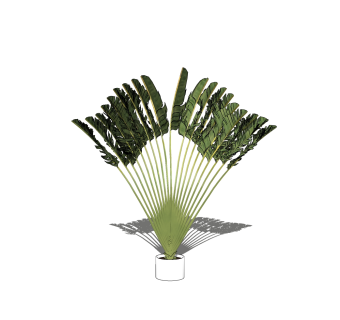 棕榈树植物盆栽sketchup模型下载，植物盆栽草图大师模型