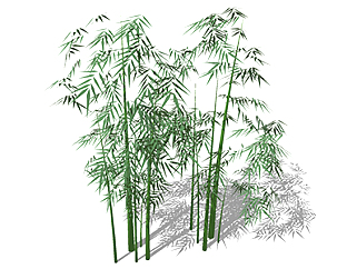 淡竹植物su模型，景观绿植草图大师模型下载