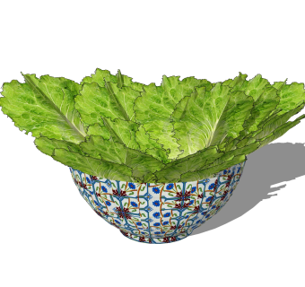  现代蔬菜草图大师模型，食物SU模型下载