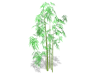 <em>菲白竹</em>植物su模型，景观绿植草图大师模型下载