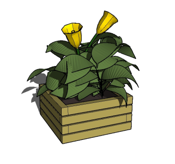 现代植物盆栽草图大师模型，盆栽sketchup模型下载