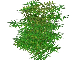 箬竹灌木丛sketchup模型，常绿灌木skp文件下载